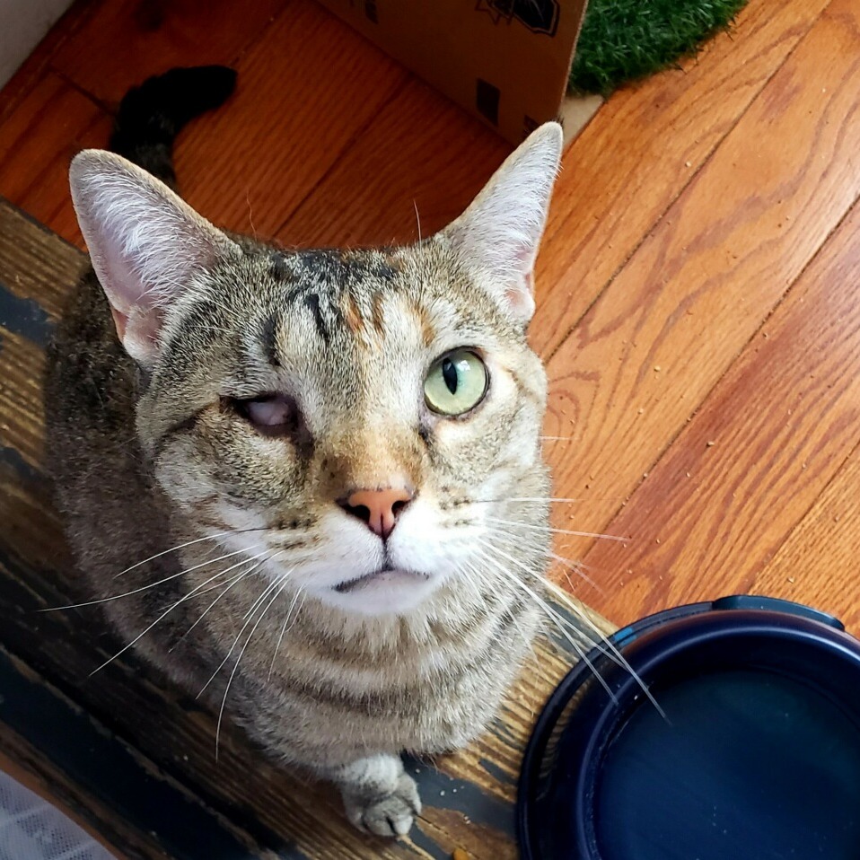 Wanda