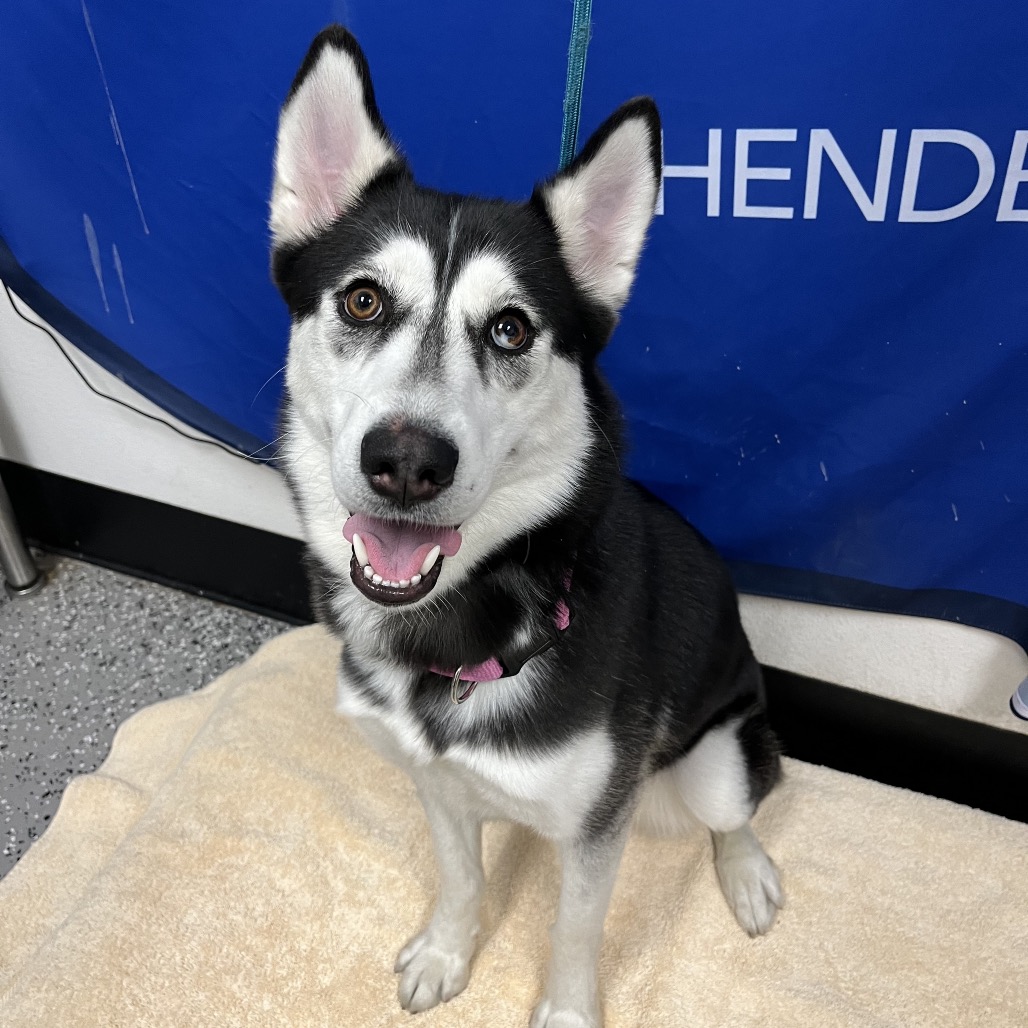 Storm — thumbnail 2