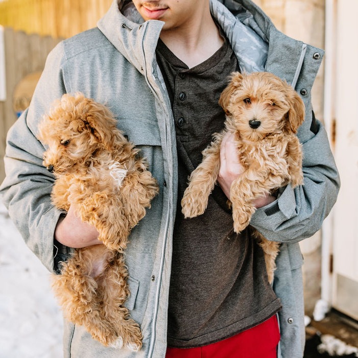 Animal Thumbnail