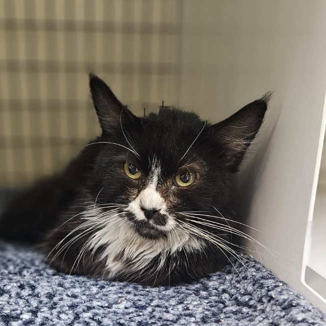 A#111b's preview photo