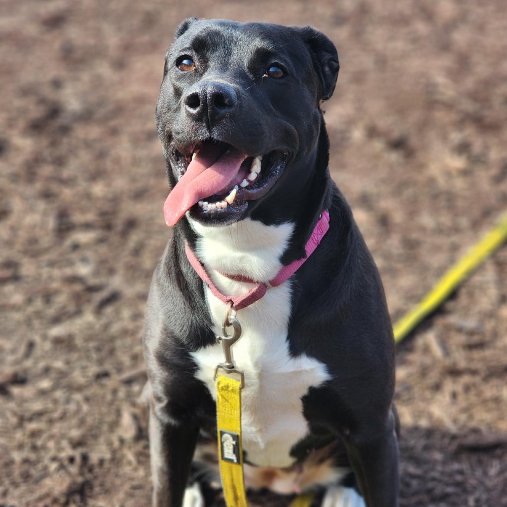 Thena — thumbnail 2