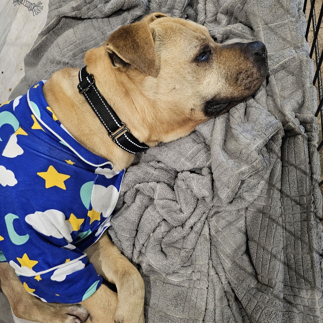 RUBBLE — thumbnail 5