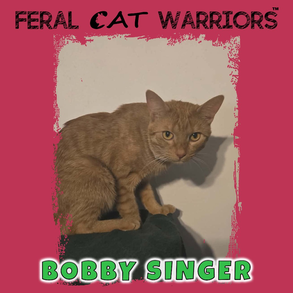 Bobby Singer