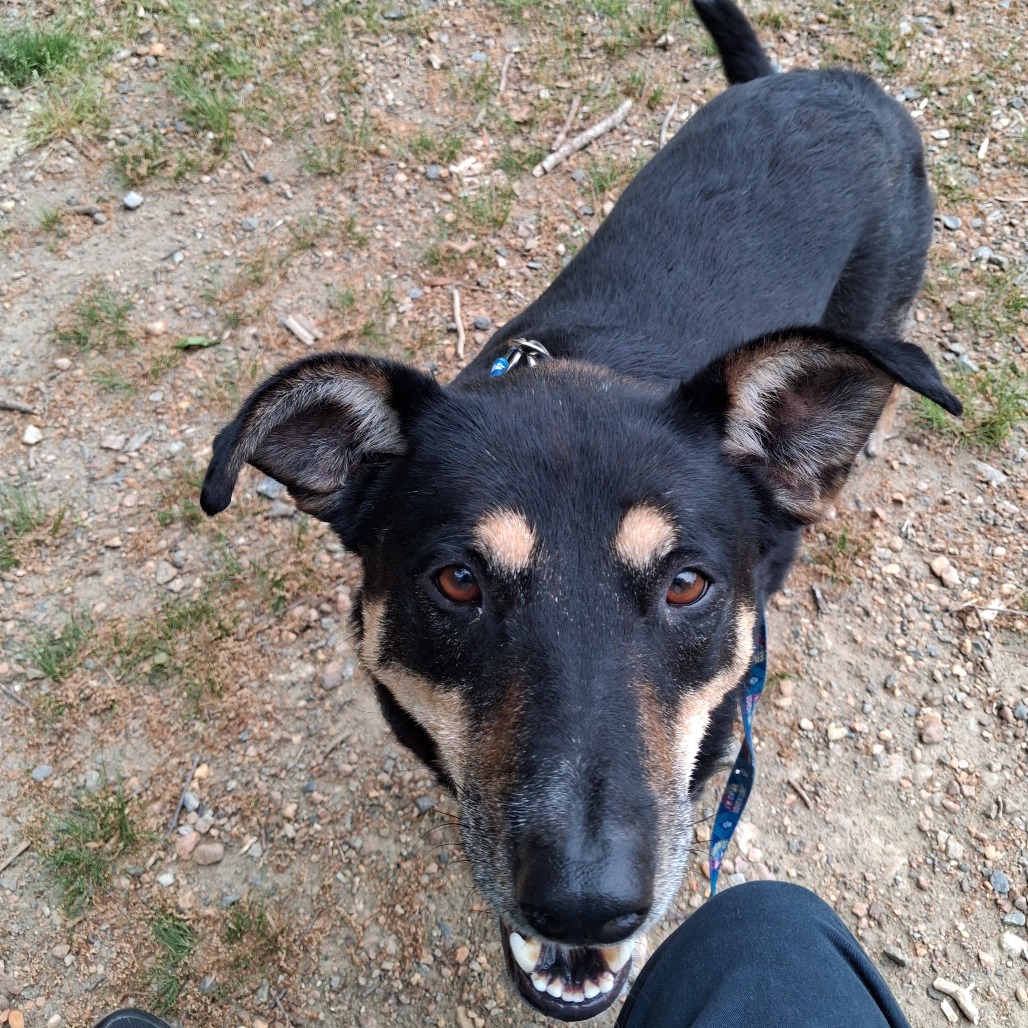 Louie, photo 14