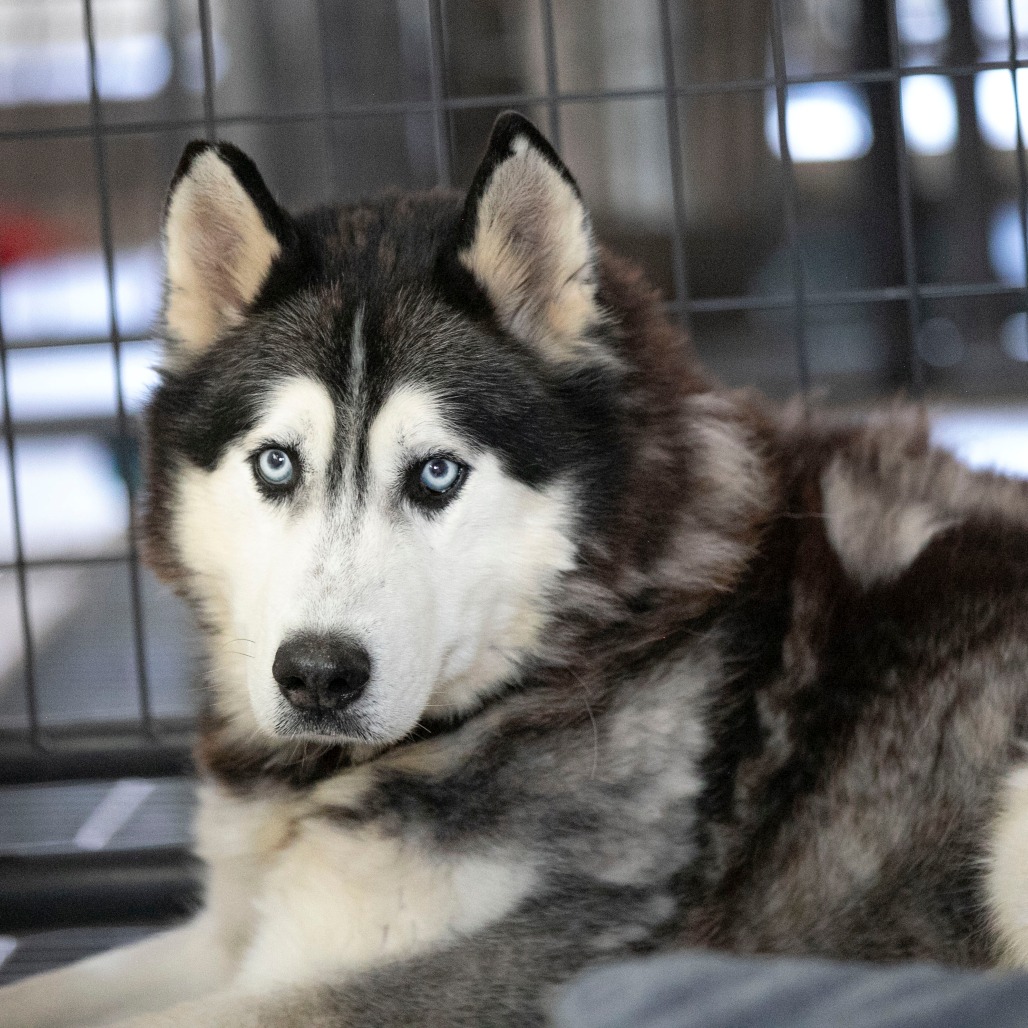 Oliver (F26-09), photo 6