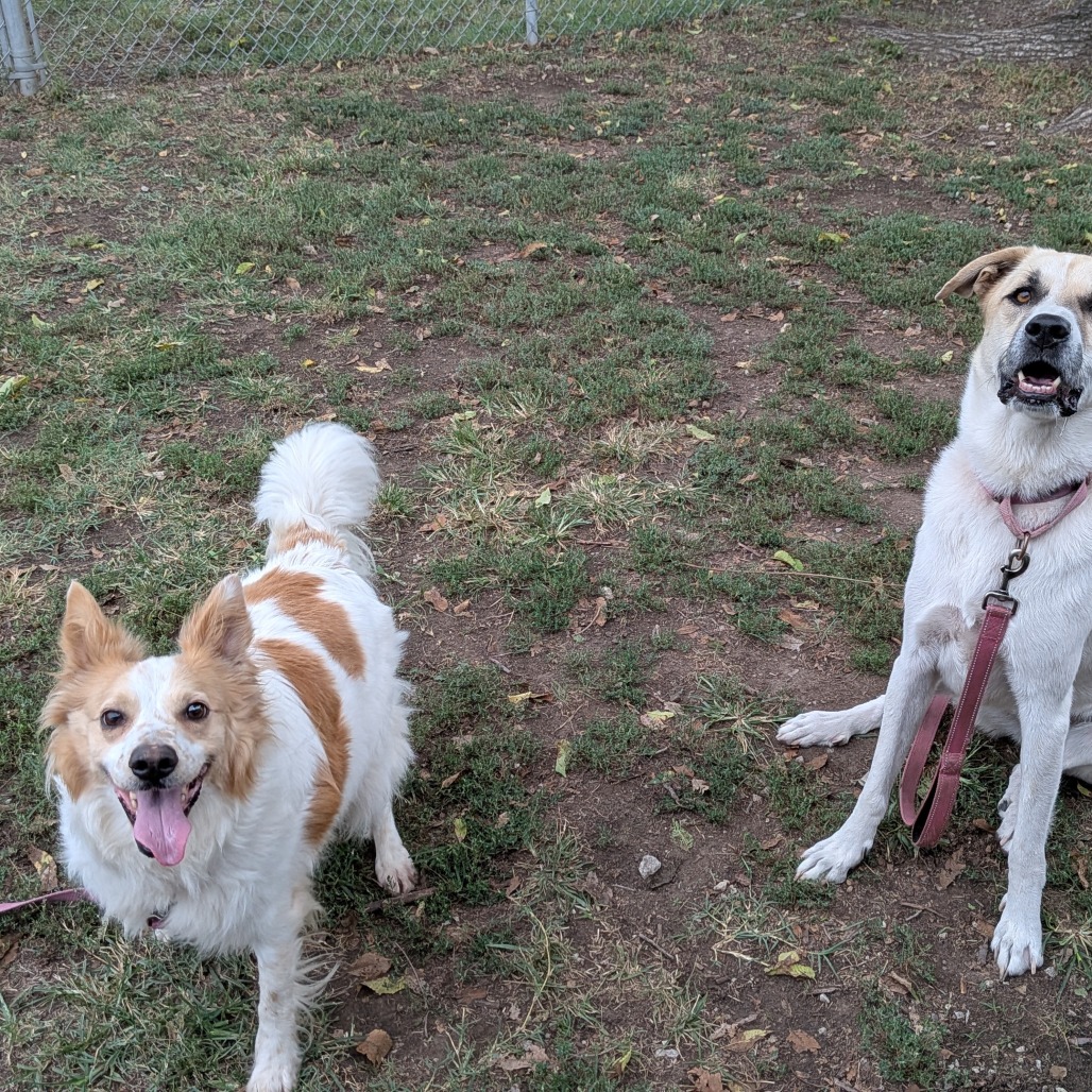 Sandy photo 38