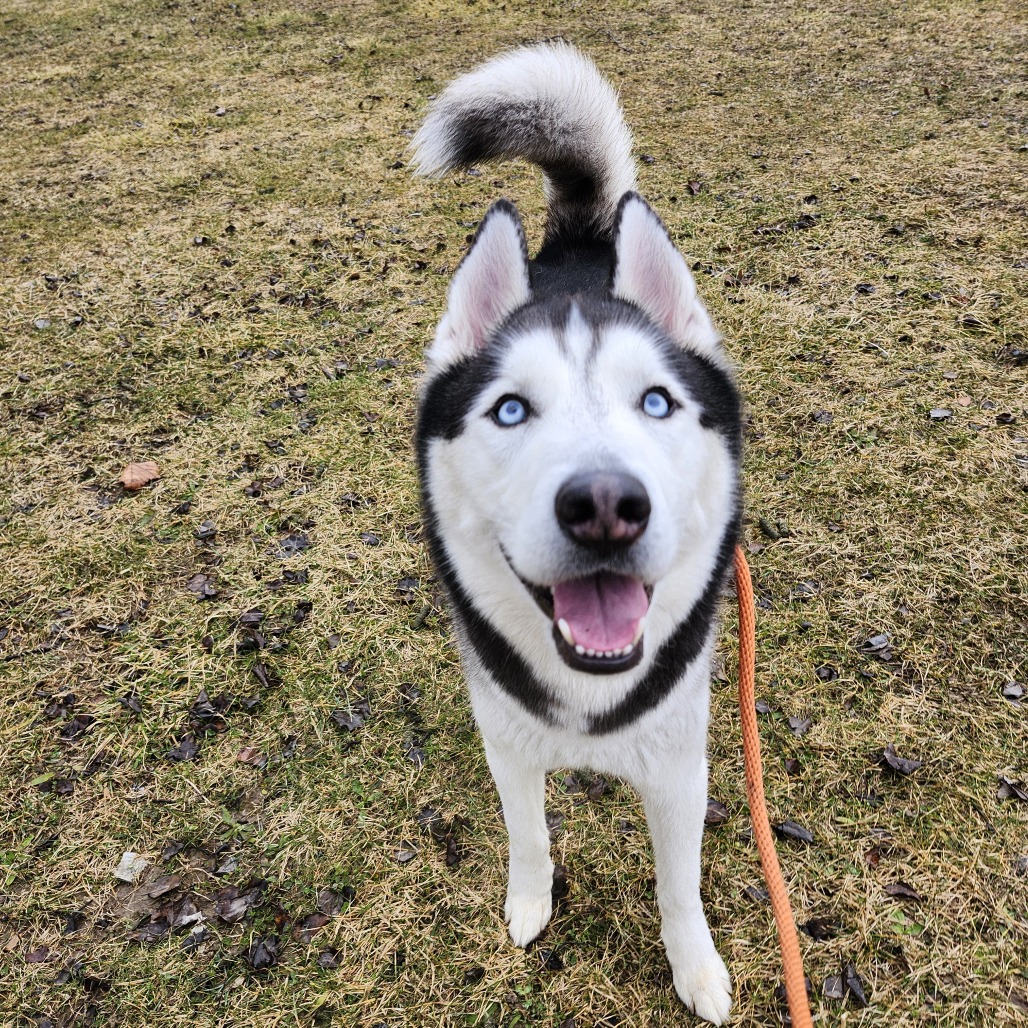 Franklin — thumbnail 4