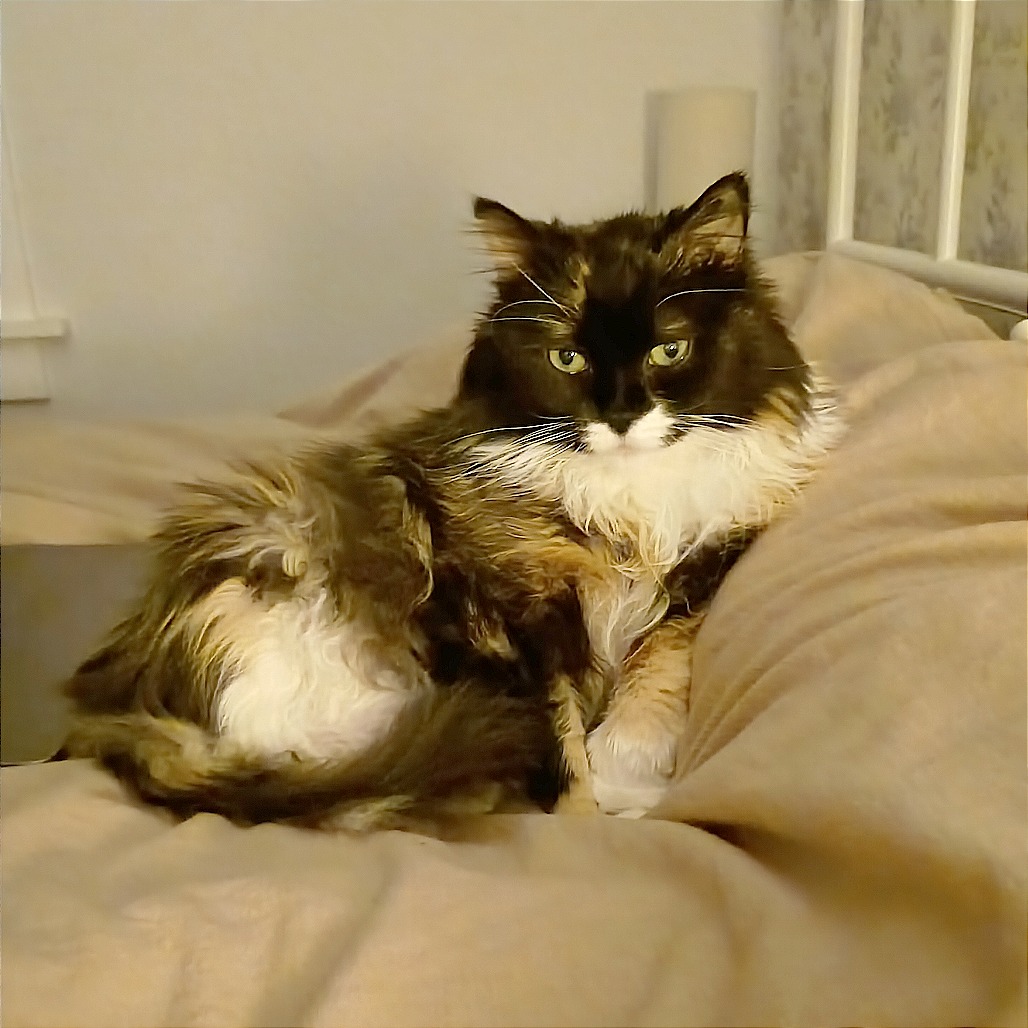 Leah, photo 5