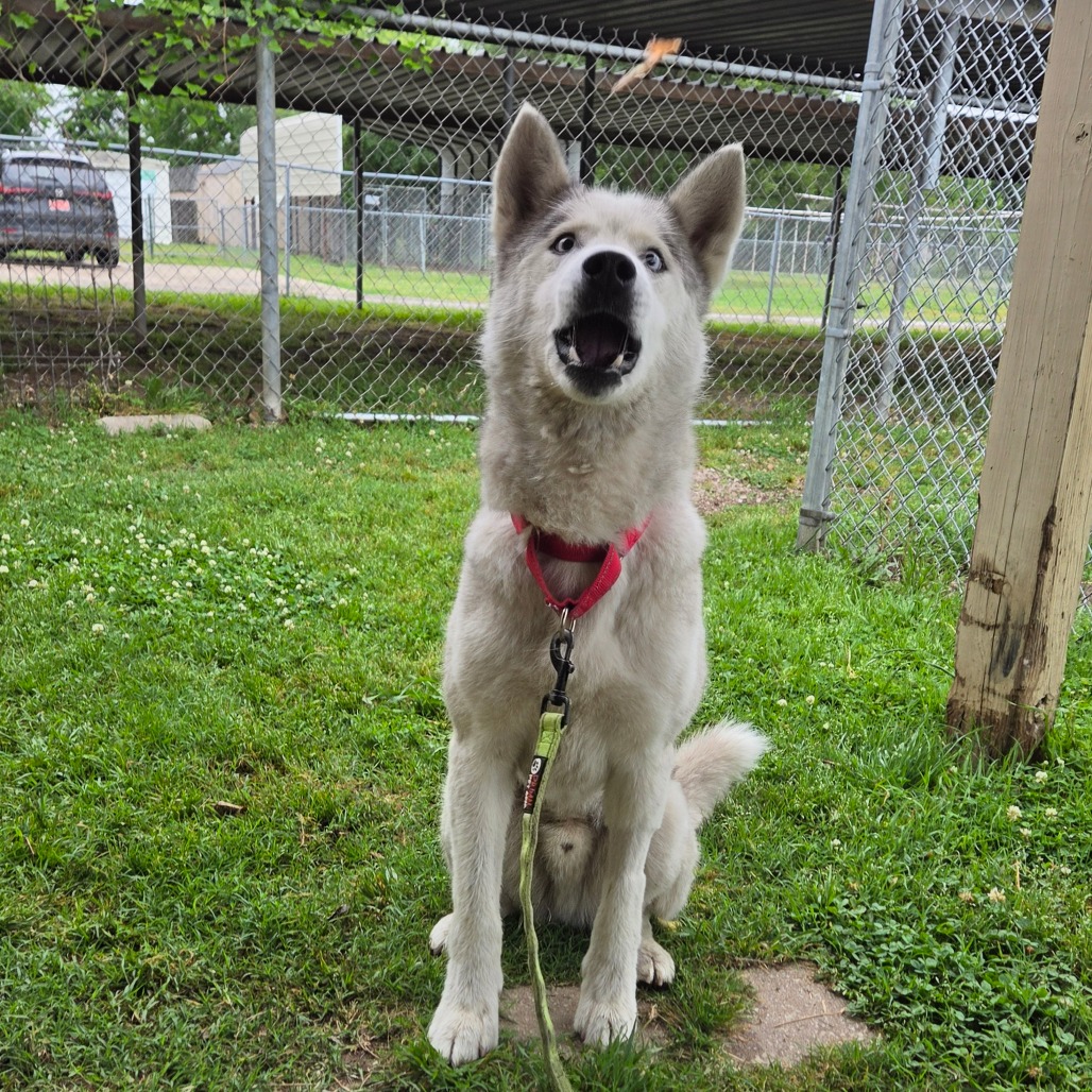 Casper photo 11