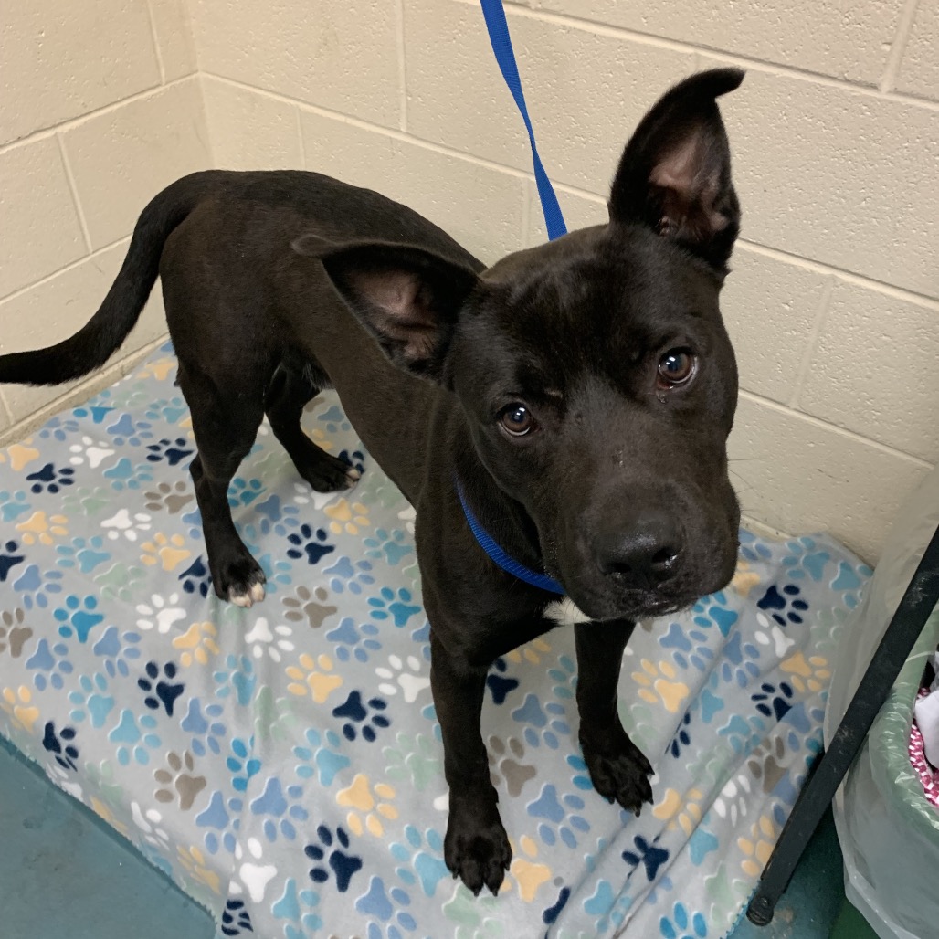 Littleman — thumbnail 2