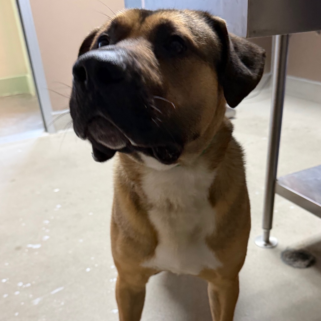 Kennel#30's preview photo