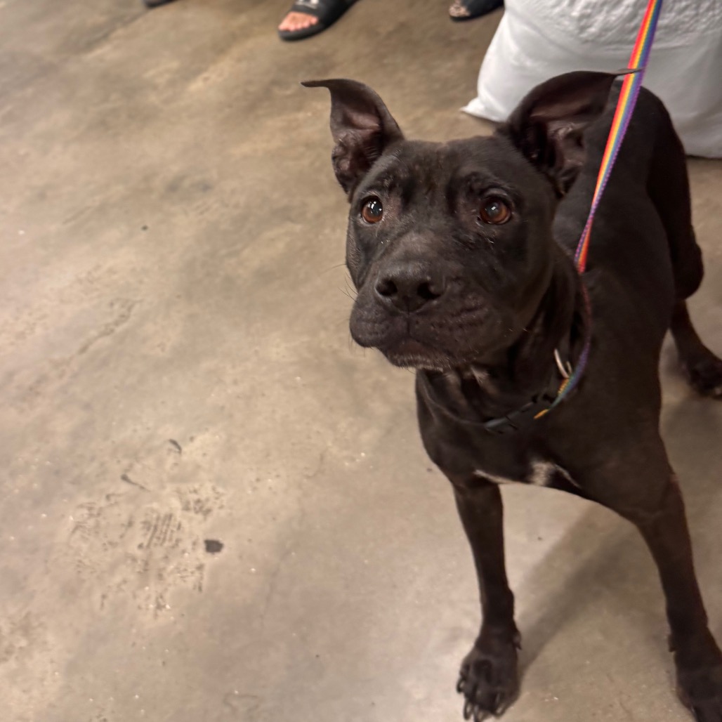 Libby, additional photo