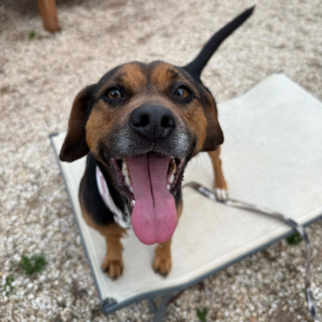 Macey — thumbnail 4