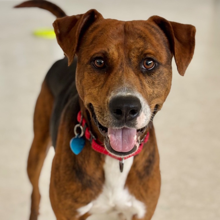 Photo of Duke playing