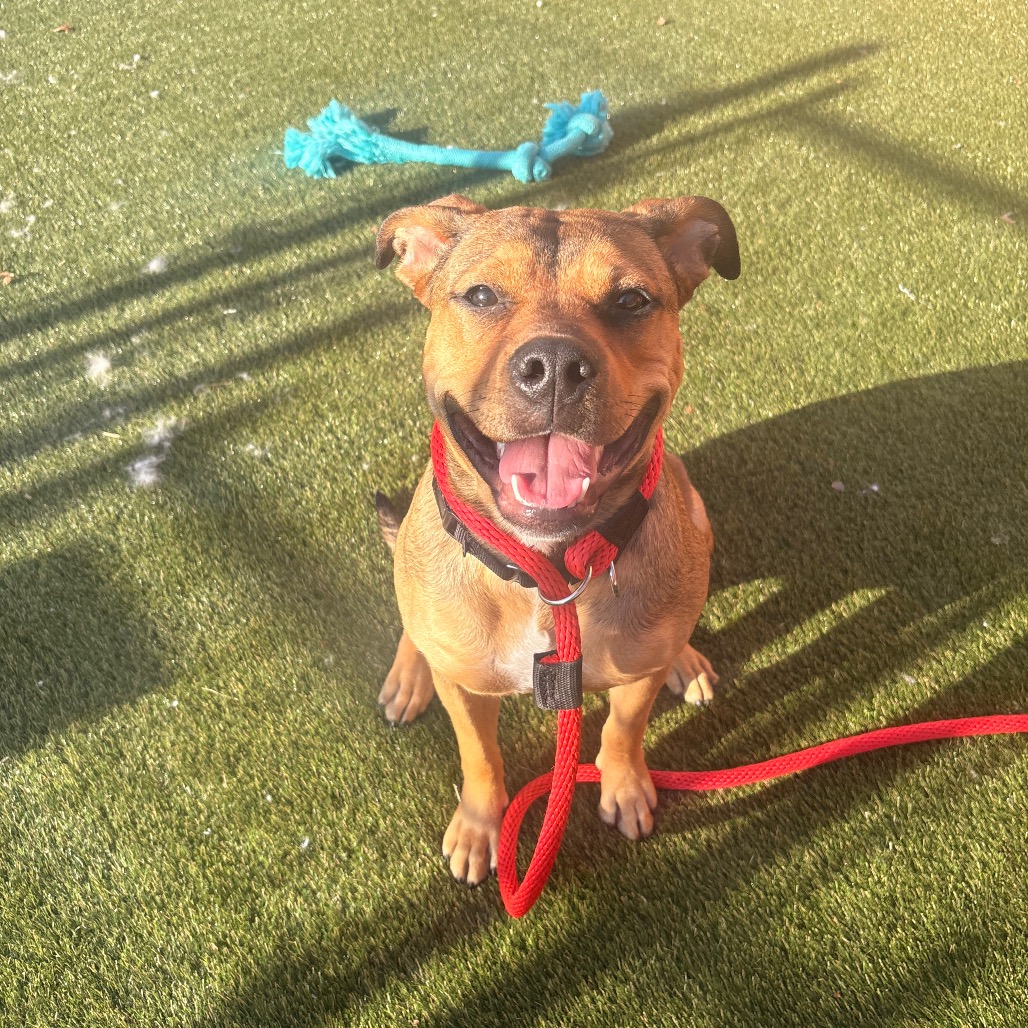 Cassie — thumbnail 3