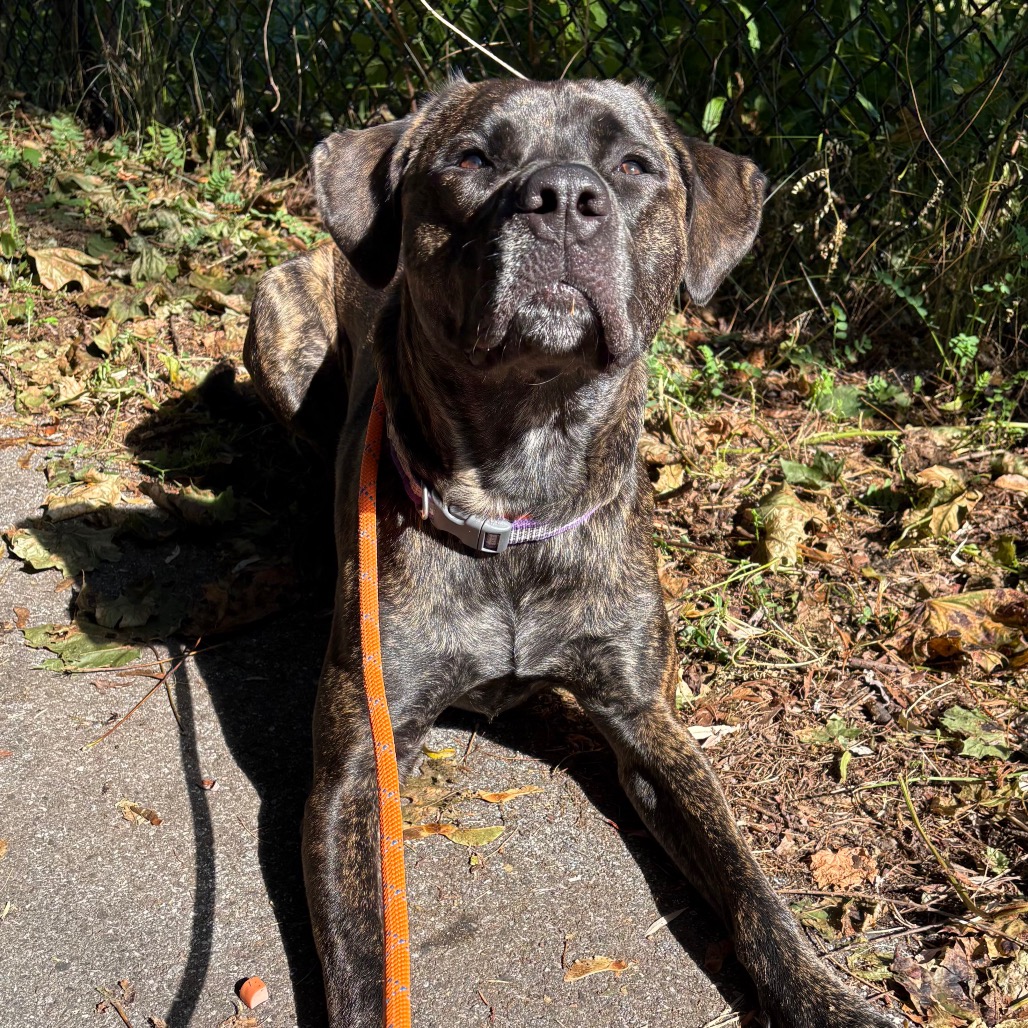 Earl, photo 26