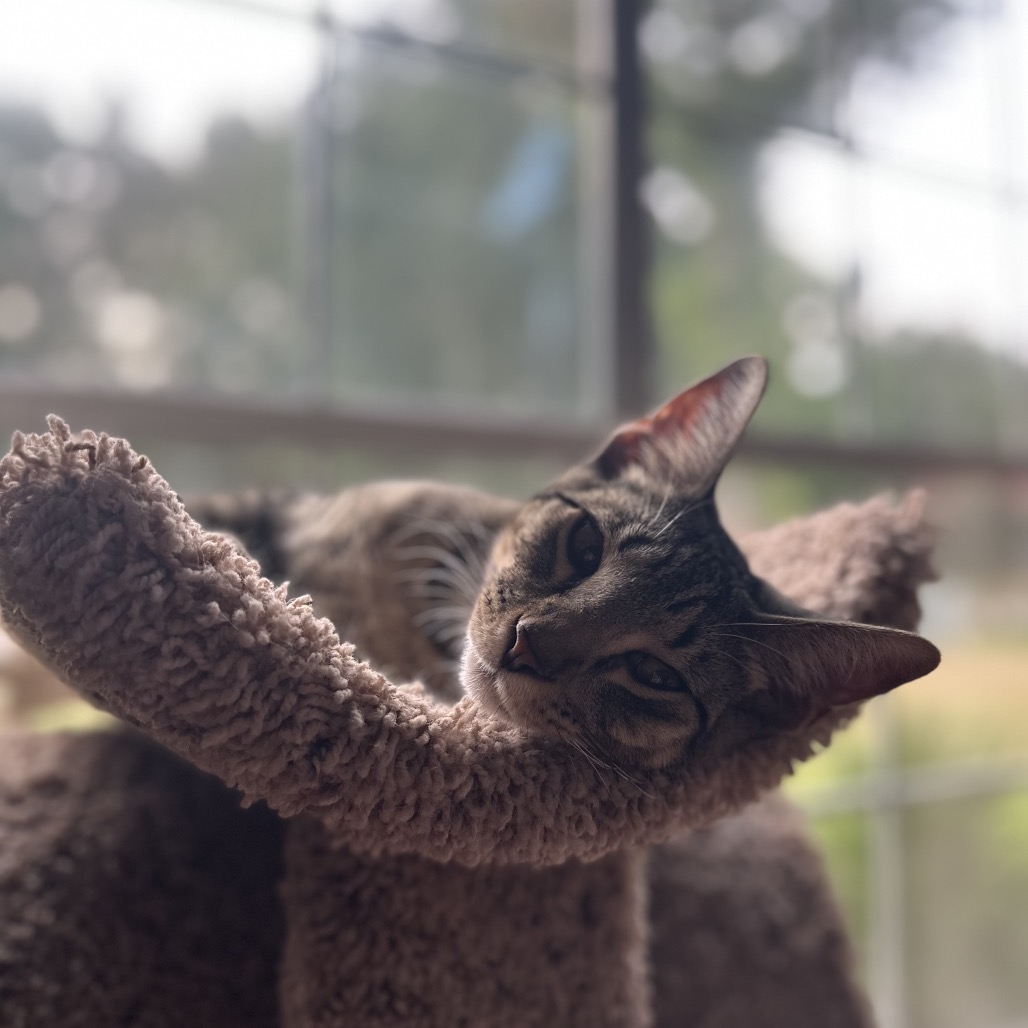 *Bobby, photo 21