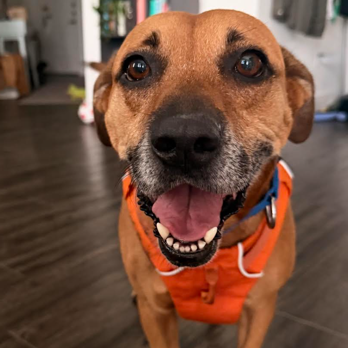 Honey — thumbnail 11