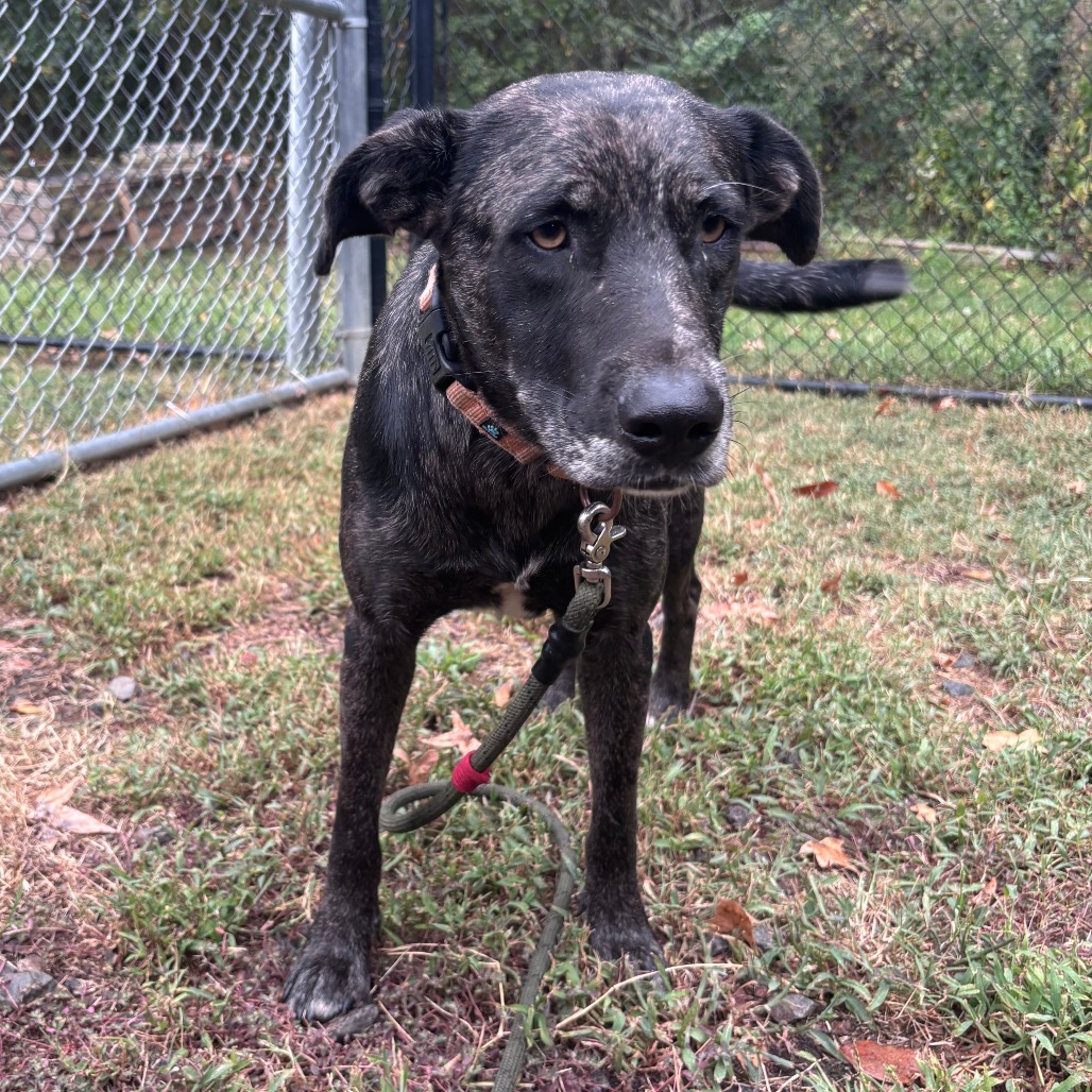 Moxie, photo 2