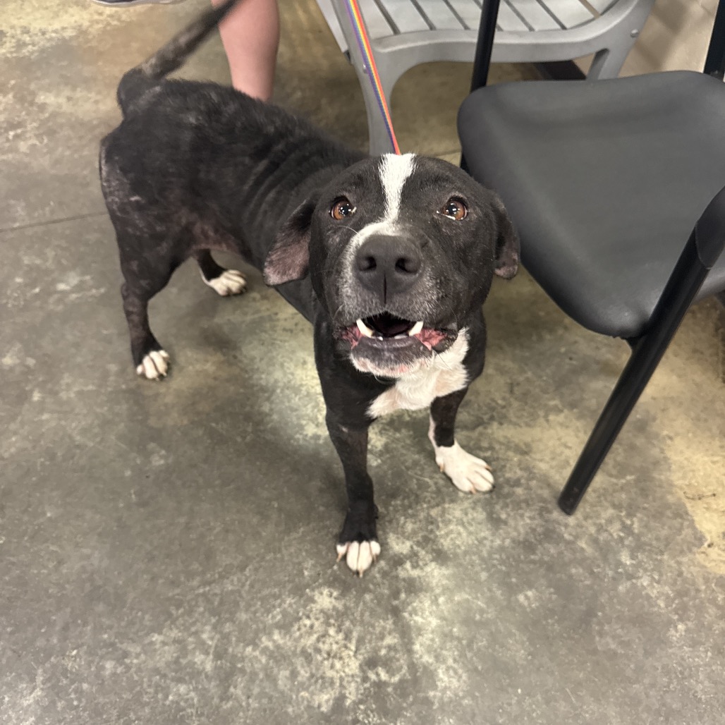 Loaf — thumbnail 2