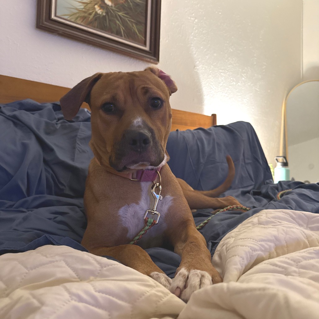 Tomlin — thumbnail 9