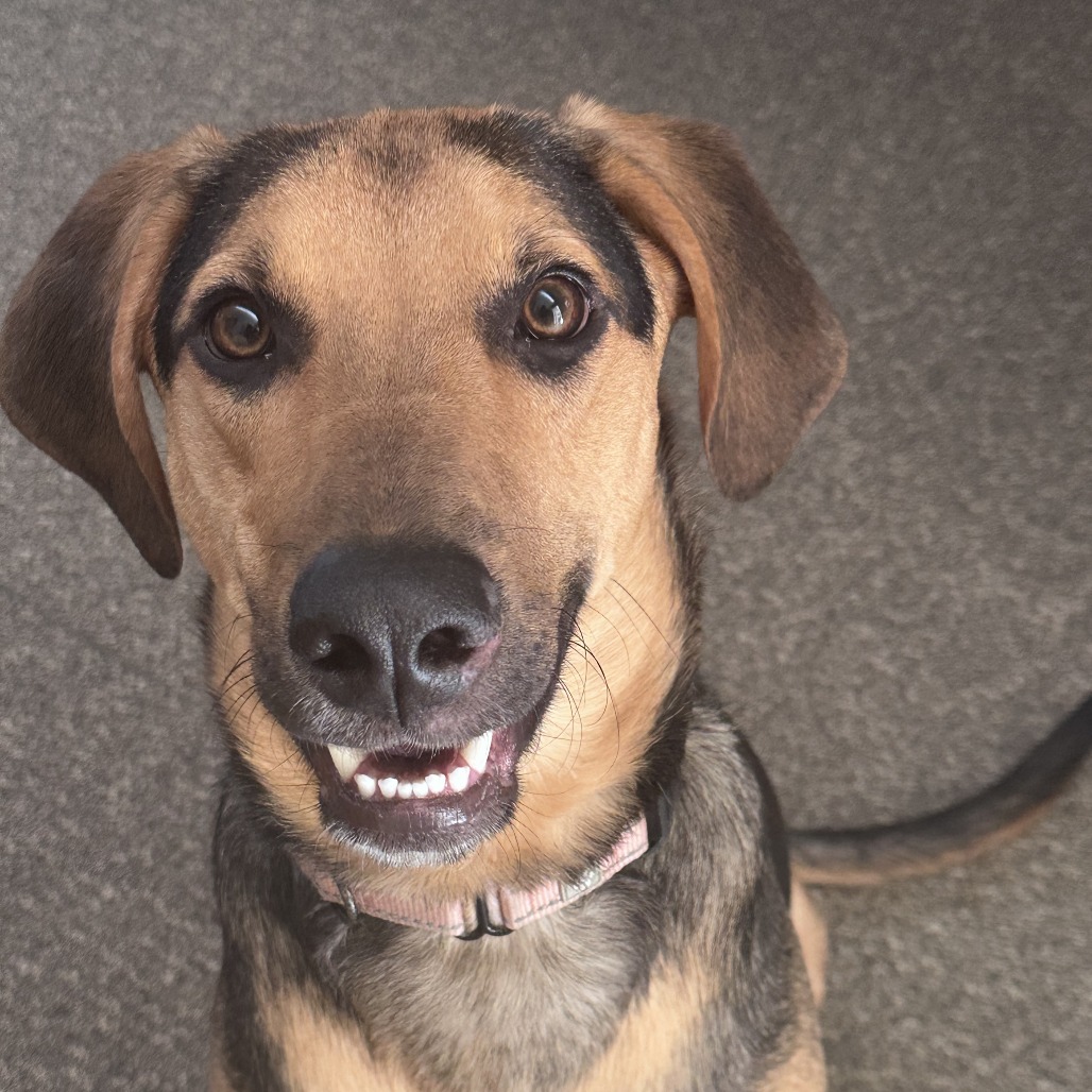 Jack — thumbnail 2