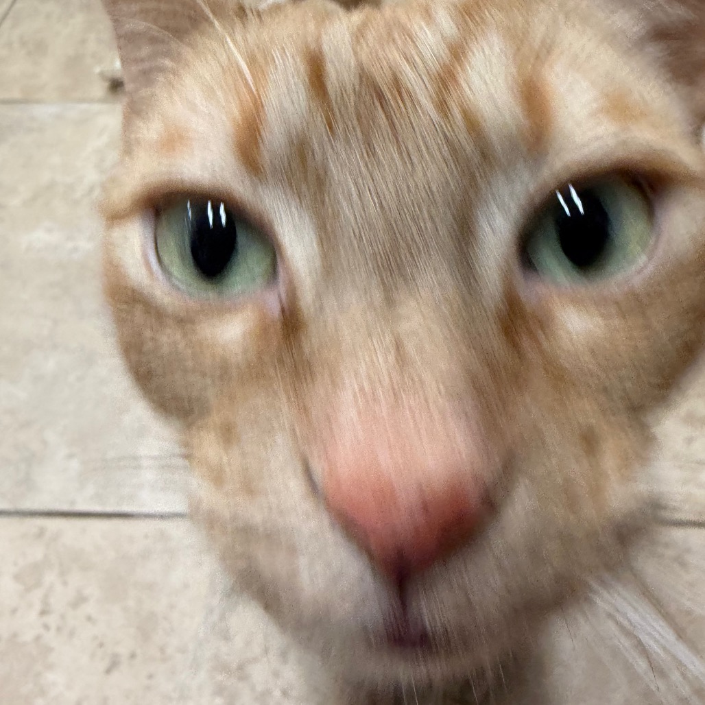 Mordecai — thumbnail 7