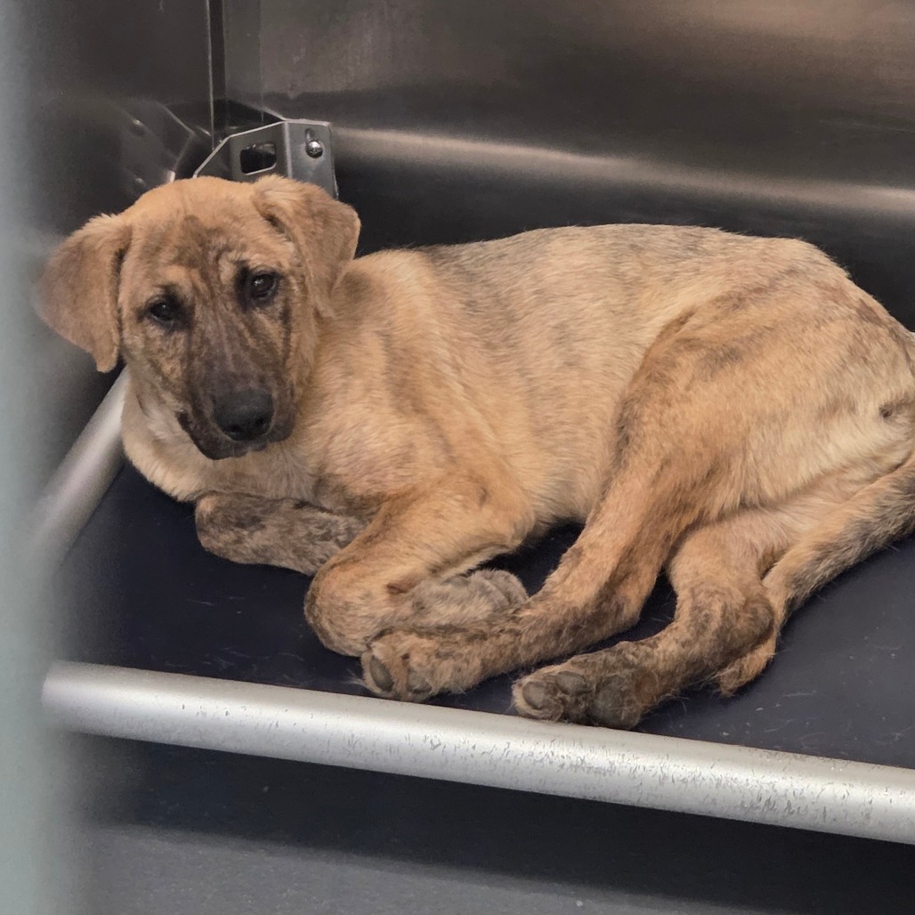 Jeremiah — thumbnail 3