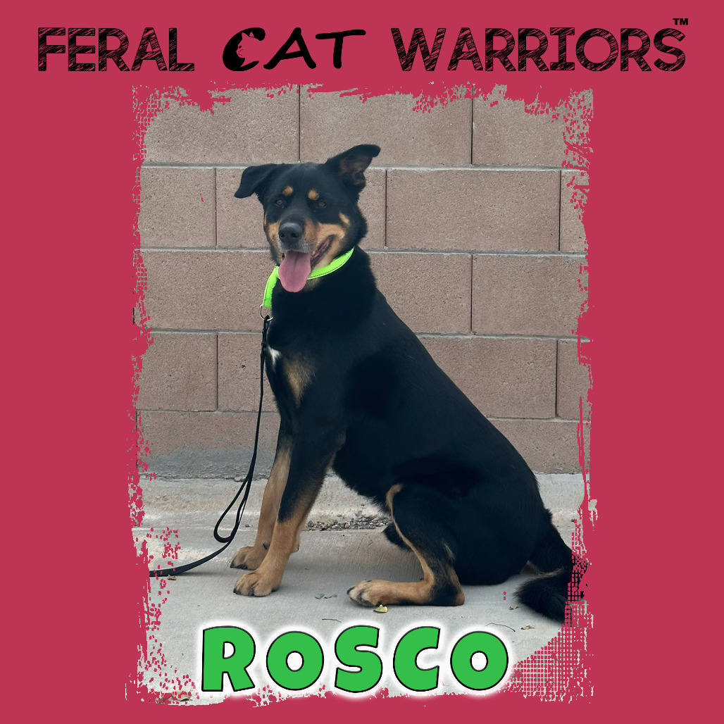 Rosco