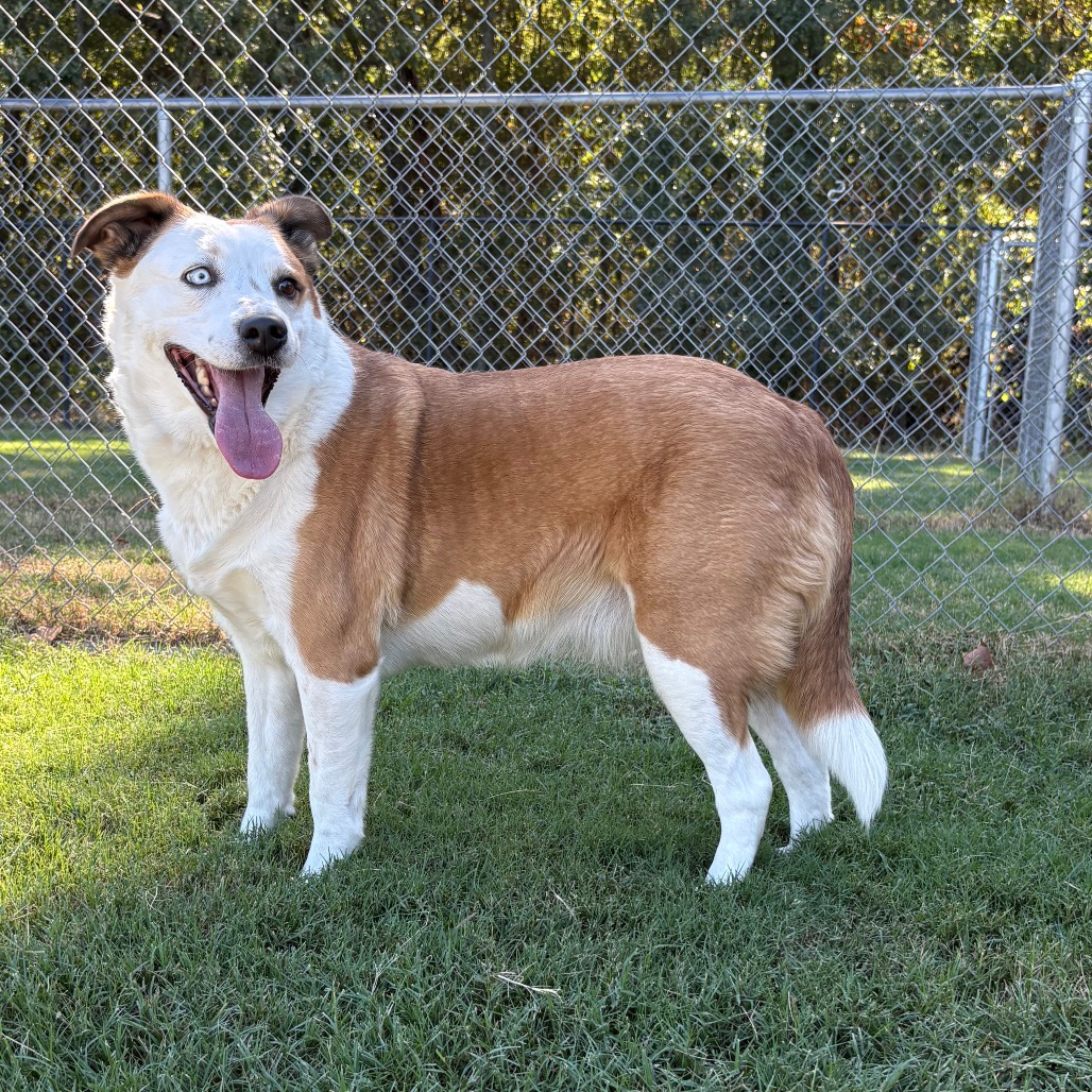 Sadie, photo 3