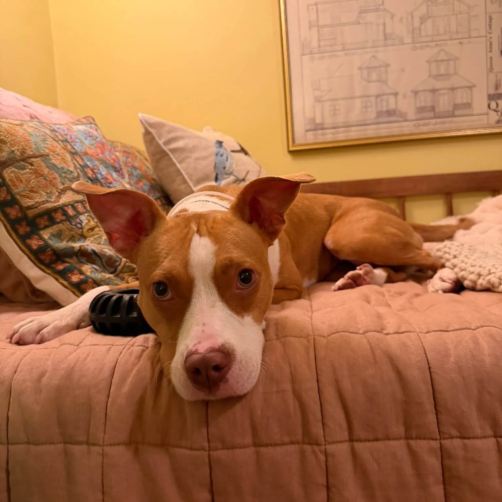 Delores, photo 5