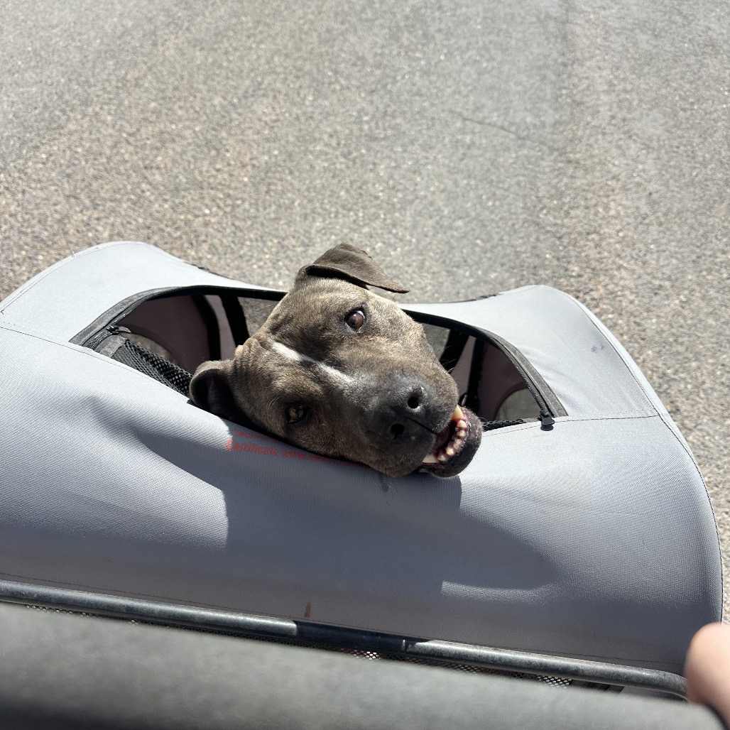Lennie, photo 22