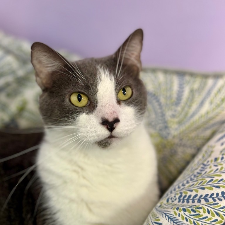 Full body shot of Dollop