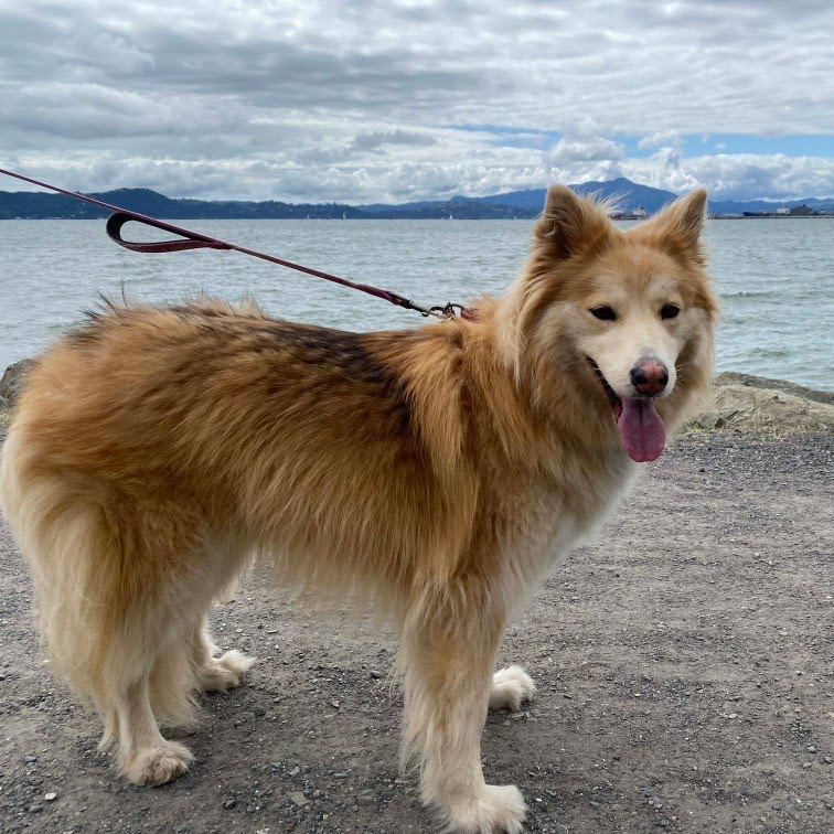 COOKIE, photo 17