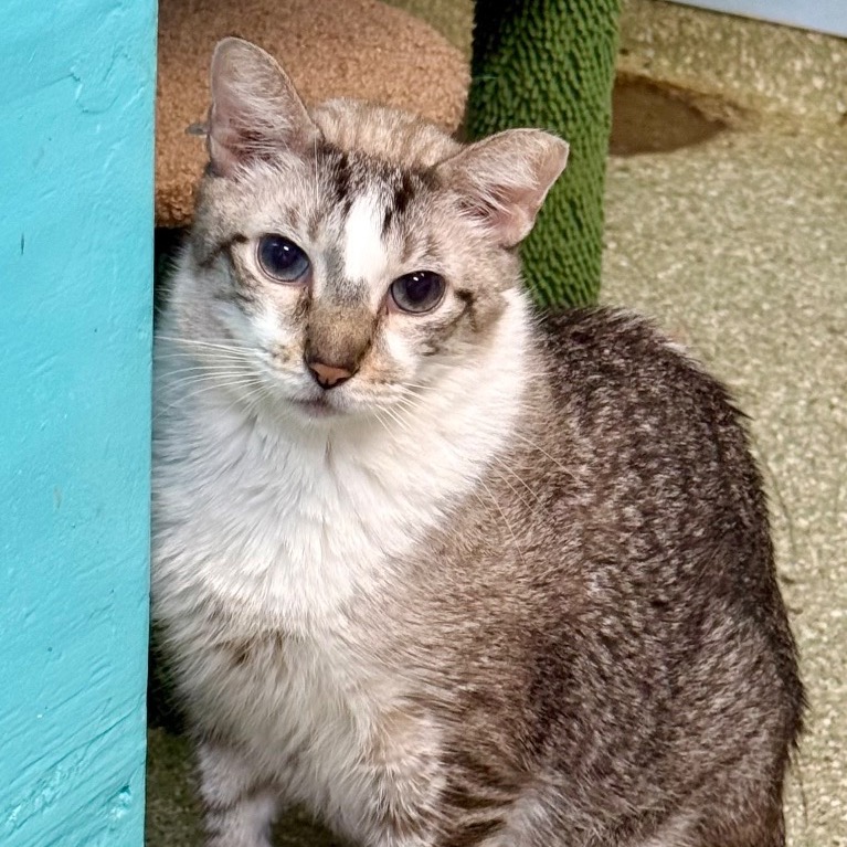 Full body shot of Peanut