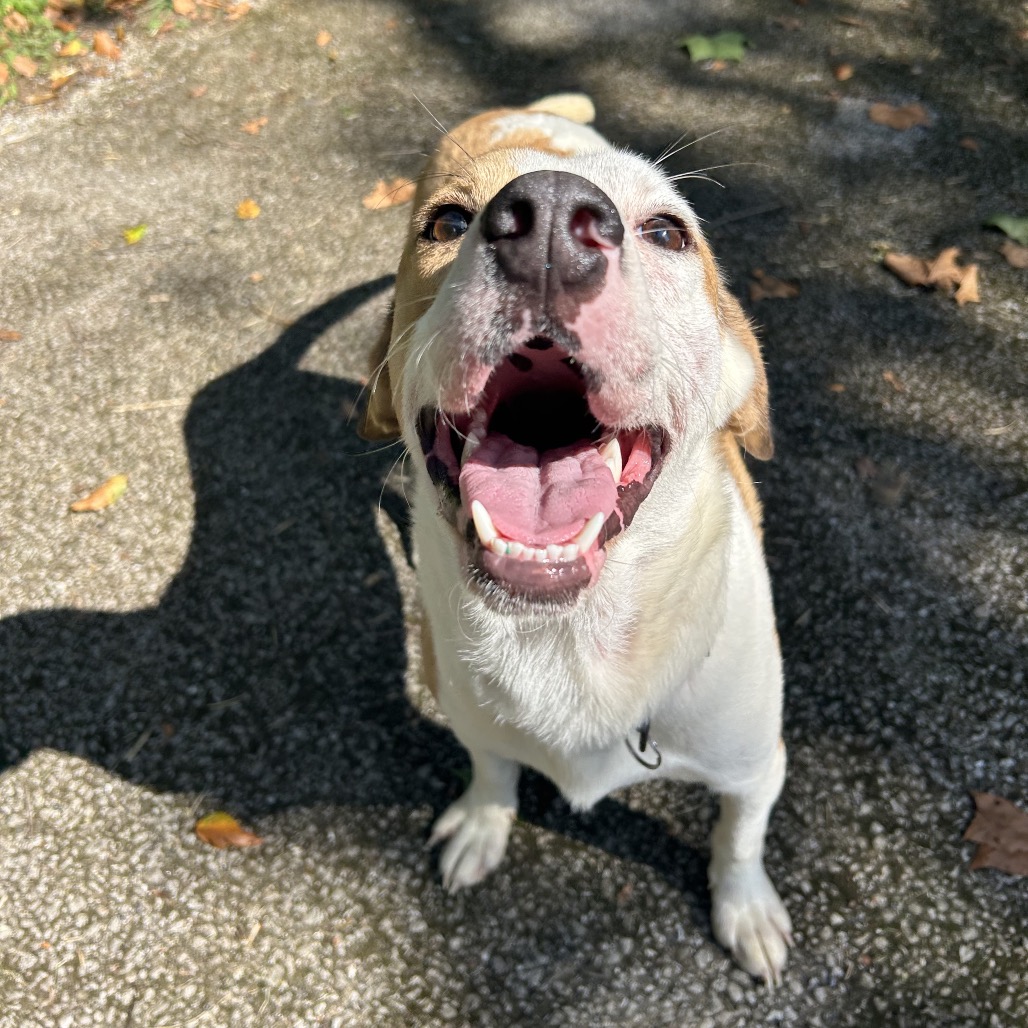 April — thumbnail 4