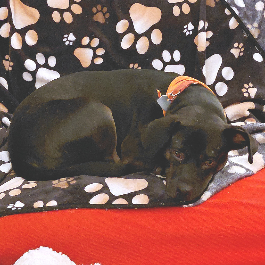 Odin — thumbnail 11