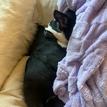 Beesly, photo 14