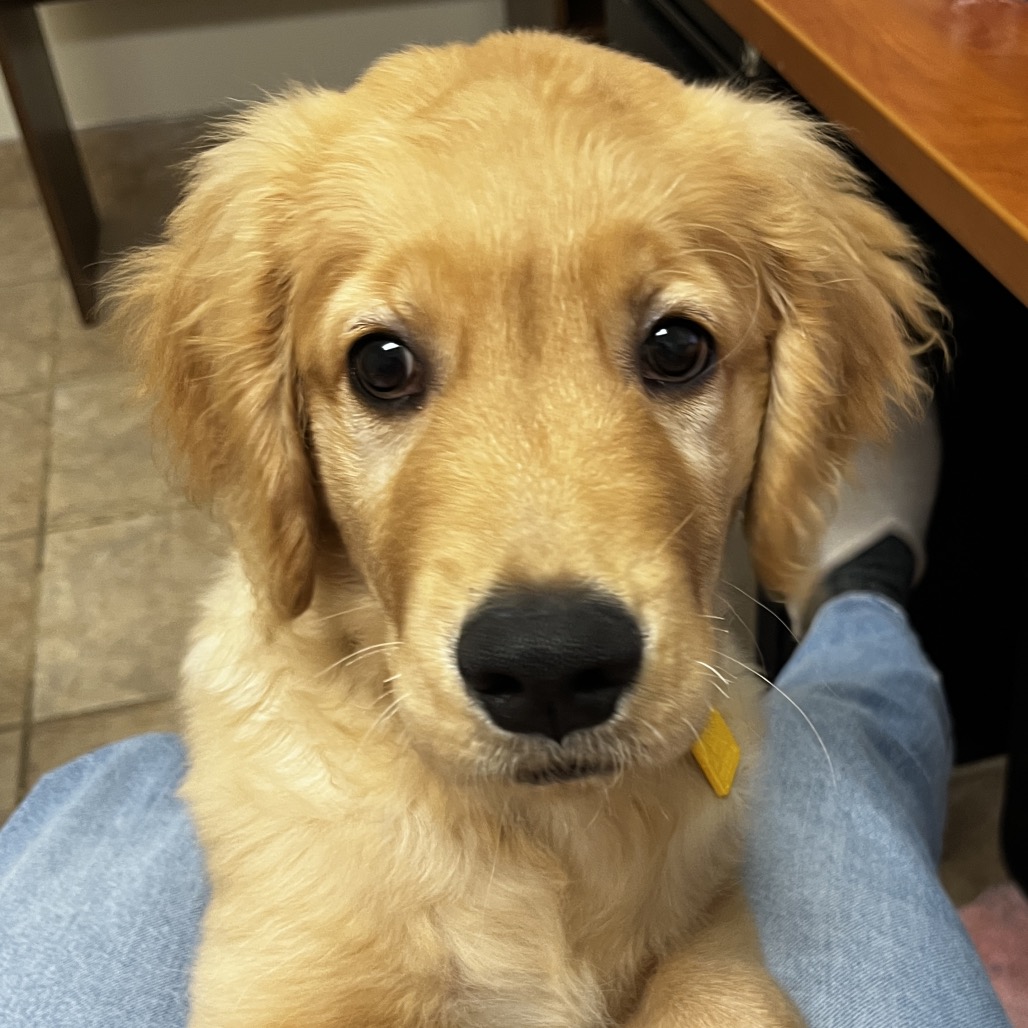 Remy