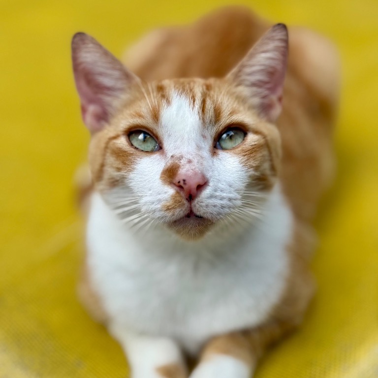 Image of Lonnie looking at the camera