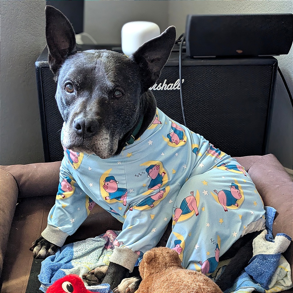 Zeus, additional photo