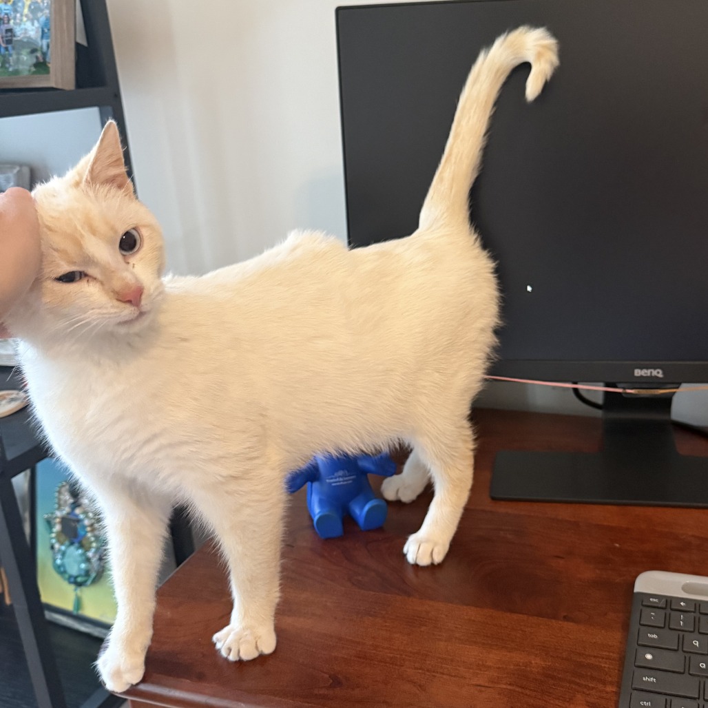 Peach Cobbler — thumbnail 4