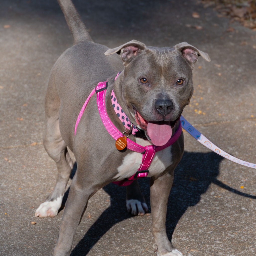 Cora (I Have a Secret Crush!), additional photo