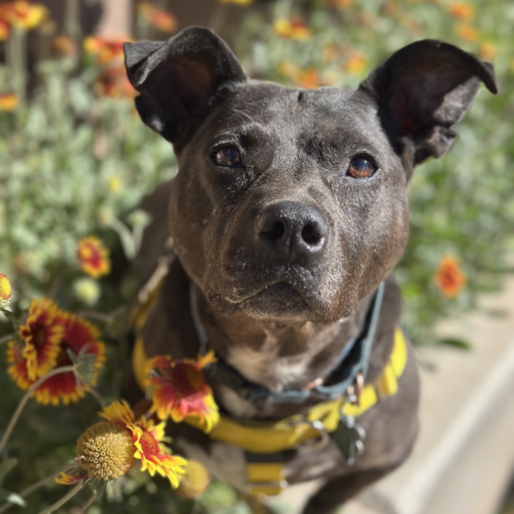 Bea Arthur, photo 25