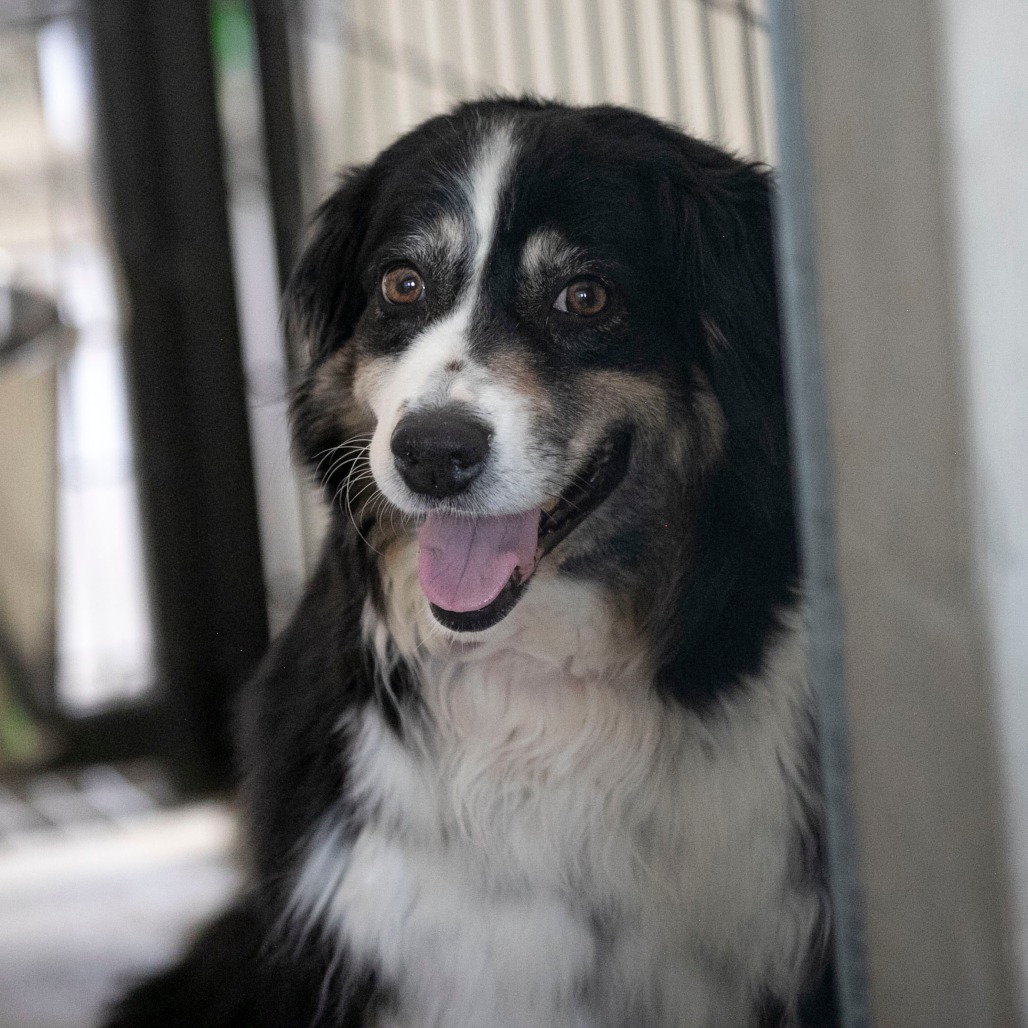 Zoey (MR26-337), photo 6