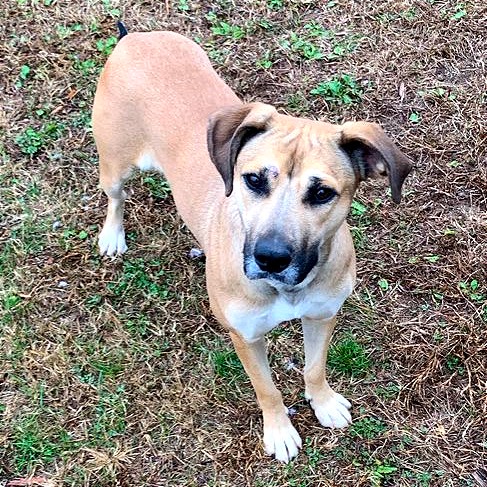 Cannoli — thumbnail 10