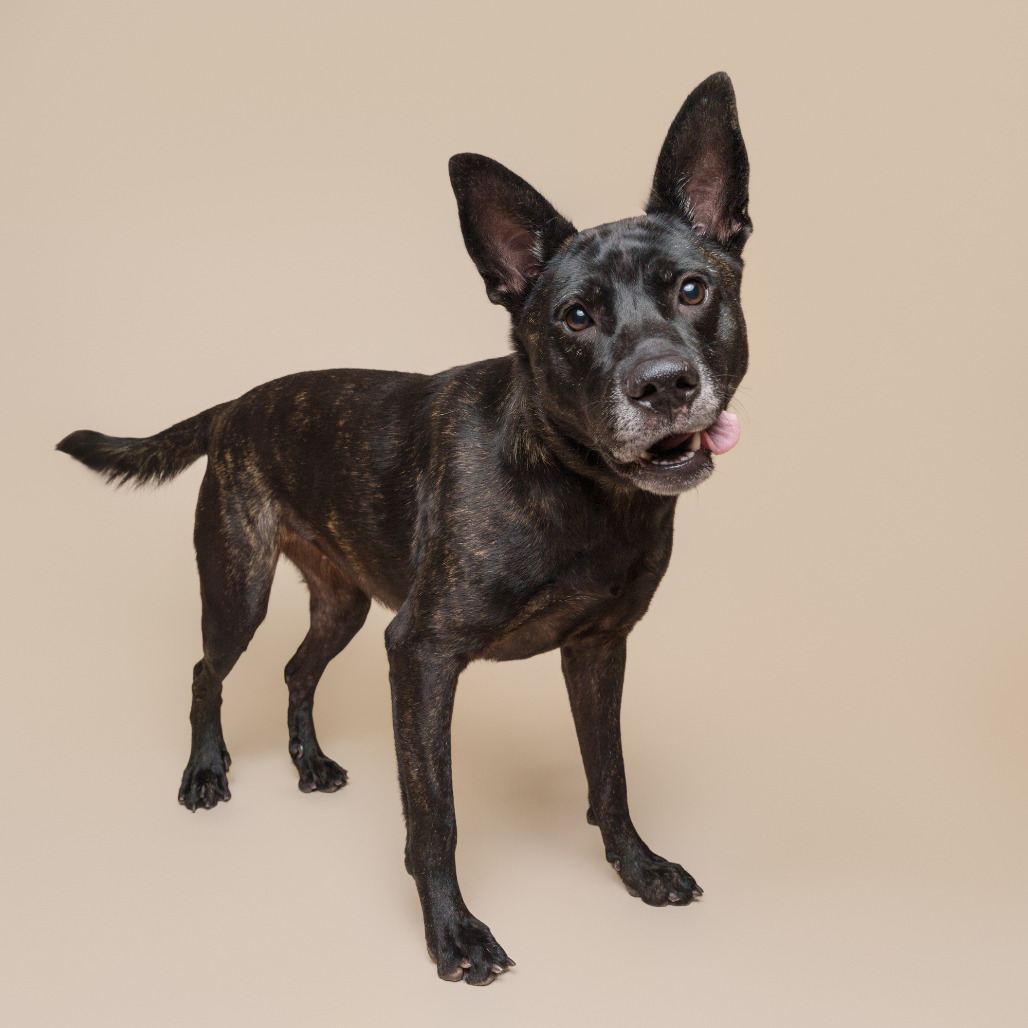 Photo of Catalina 18