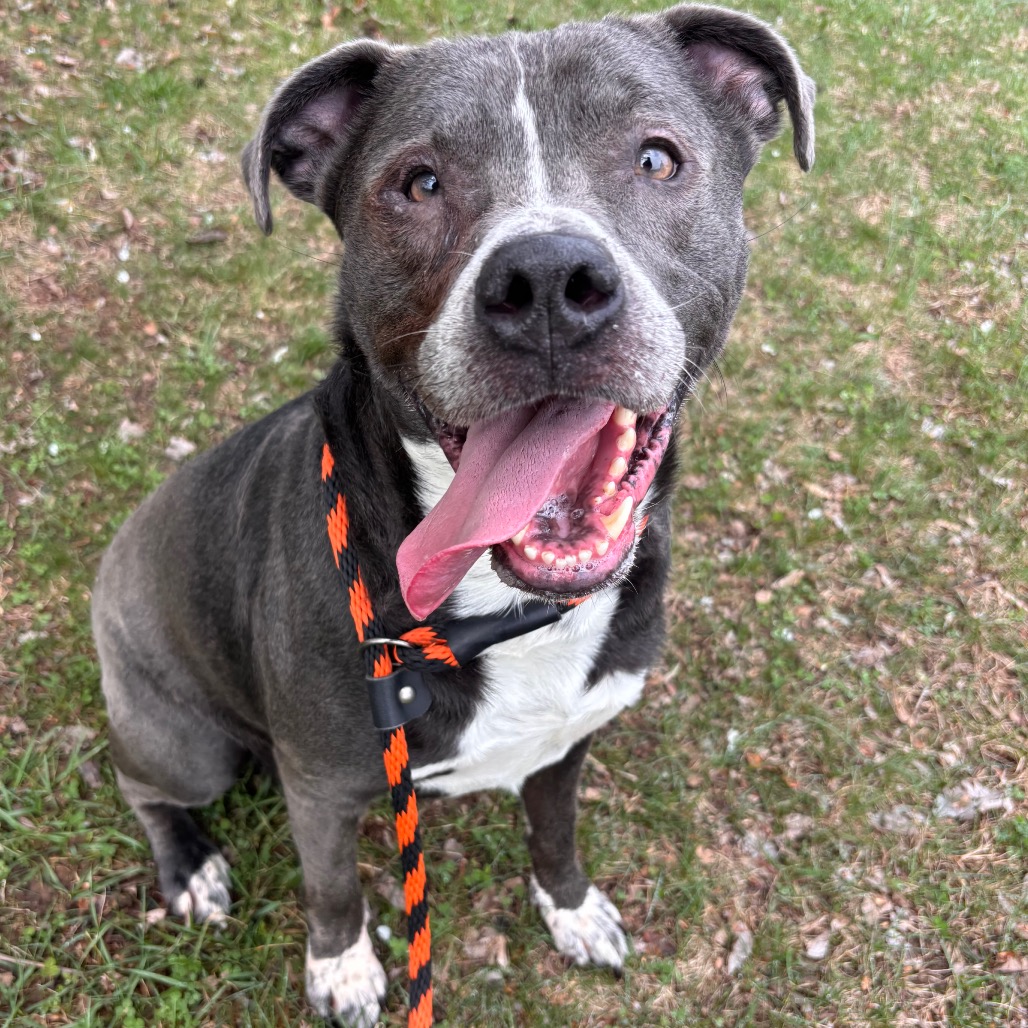 8f901ed896ff3470bc51c27f573f44a1