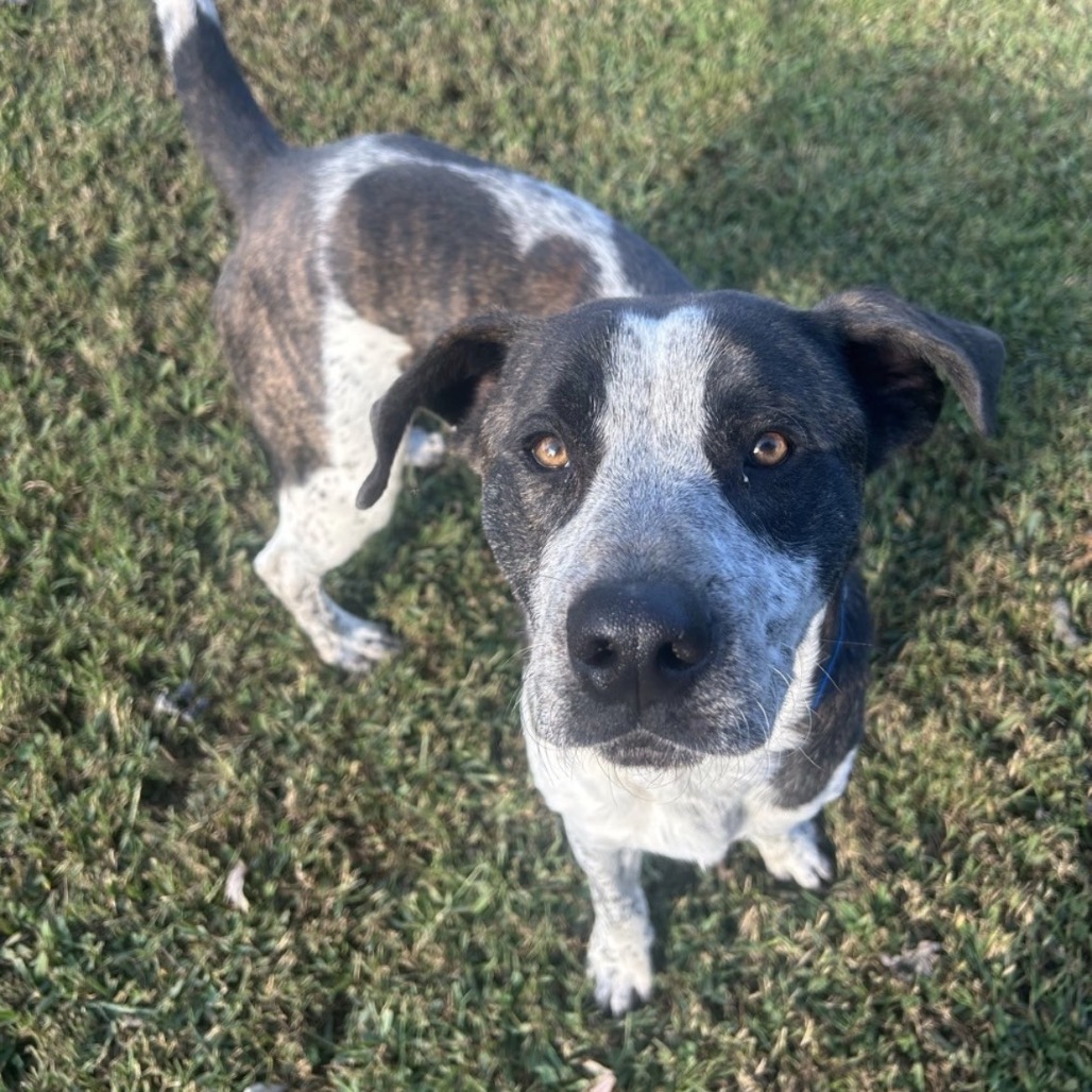 Marco — thumbnail 8