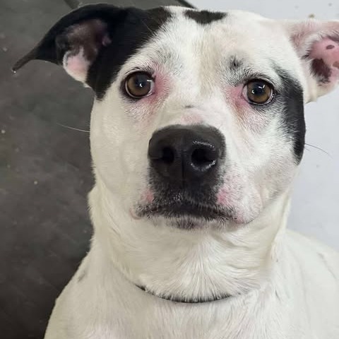 Photo of Baylor